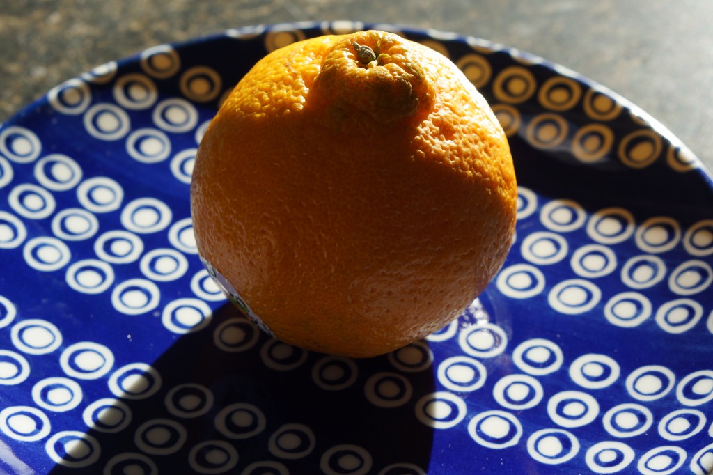 Sumo, orange, orange food, blue