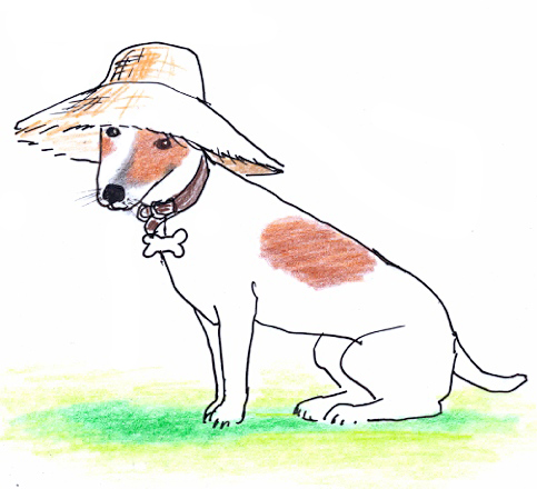 Henry in a sunhat