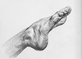 foot